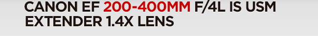 EF 200-400MM Extender 1.4X Lens