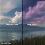 B+W 49mm Graduated Violet 543 Filter