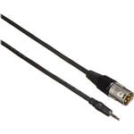 Comprehensive XLRP-MPS-10ST EXF Stereo Mini Male to XLR Male Cable (10' (3.05 m))