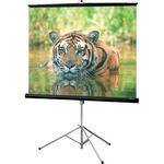 Draper 216007 Consul Portable Tripod Screen  (60 x 60")