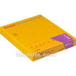 Kodak 4x5" Portra 160VC Color Negative (Print) Film (Vivid Color, 10 Sheets) 