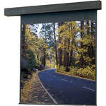 Draper 115003 Rolleramic Motorized Projection Screen (70 x 70")