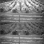 B+W 55mm 093 (87C) Infrared   Slim Glass Filter