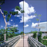 B+W 77mm Warm Circular Polarizer 81A Glass Filter