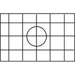 Beattie Grade Intenscreen para Nikon F5