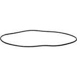 Ikelite O-Ring (Reposi��o)