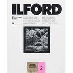 Ilford Ilfobrom Galerie Fiber-Based Paper (11 x 14", Grade 2, 50 Sheets, Glossy)