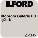 Ilford Ilfobrom Galerie Fiber-Based Paper (20 x 24", Grade 2, 10 Sheets, Glossy)