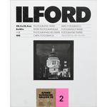 Ilford Ilfobrom Galerie Fiber-Based Paper (8 x 10', Grade 2, 100 Sheets, Glossy)