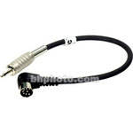 Delvcam BCAM2 8-pin to PRO56 Cable