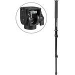 Manfrotto 681B 3 Section Monopod with 234 Swivel Head - Supports 5.5 lb (2.5kg)