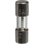 Remote Audio 2AG 5A Slow-Blo Fuses