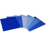 LEE Filters Tungsten to Daylight Lighting Filter Pack (12 Sheets)
