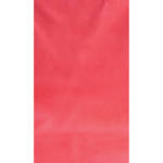 Botero #024 Muslin Background (10x12', Pink)