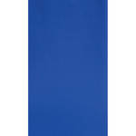 Botero #027 10x12' Muslin Background - Chroma-Key Blue