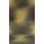 Botero #016 Muslin Background (10x24', Taupe, Gold)