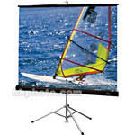 Draper Diplomat Portable Tripod Screen - 84 x 84" - HC Gray (HC)