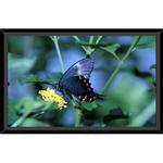 Vutec 01-SS060-060 Silver Star Fixed Frame Front Projection Screen (59 x 59")