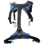 Petrol PEHRN Over-the-Neck Harness