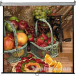 Vutec Econo Pro Manual Wall Front Projection Screen (60x80") 