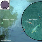 Nikon 52mm Circular Polarizer Filter
