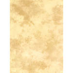 Lastolite 10x12' Muslin Washable Background - Arizona