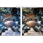 Cokin Z-Pro 028 81C Color Conversion Resin Filter