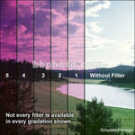 Formatt Filtro Magenta 1 de 58mm 