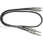 Hosa Technology Two 1/4" Phone Male to Two RCA Male Unbalanced Cable - 10'