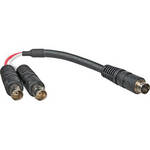 Communications Specialties 4-Pin Mini-DIN Male to 2 BNC Male Video Cable