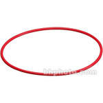 Olympus O-Ring para PT-030