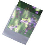 Archival Methods High-Density Poly Envelopes - 3-5/8 x 4.75" 100 Pack
