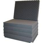 Porta Brace PB-2600FO Foam Set (Replacement)