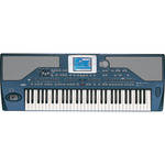 Korg Pa800 - Professional Arranger