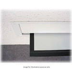 BEI Audio Visual Products Alpine XL Motorized Front Projection Screen (54x96")