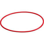 Olympus O-Ring para PT-033


