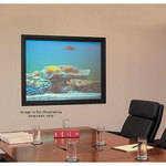 Draper Irus Rear Projection Screen with Frame 200 (36 x 48")