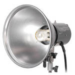 Speedotron 102 Lamphead with 11" Reflector