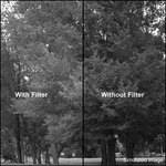 Kodak 4x4" (100mm) #61 Deep Green Wratten 2 Gel Filter