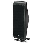 Satellite Speaker