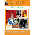 First Light Video DVD: What is a Sitcom? 
