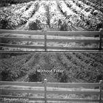B+W 62mm 092M Infrared (IR) Dark Red Filter