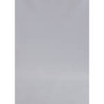 Botero #049 Rotary System Background 5x7' Slate Gray
