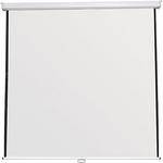 Best Rite BR60 Manual Front Projection Screen (60 x 60")