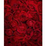 Westcott Scenic Background (5x6', Bed of Roses)