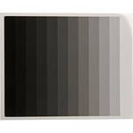 Kodak 8 x 10" Calibrated Photographic Gray Scale