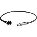 Transvideo 09H6L2 Hirose 6 to Lemo2 Power Cable
