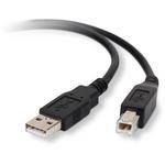 Belkin Cabo USB 2.0 Hi-Speed (10 p�s - 3,05m)