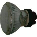 Epoque 12W HID Lamp for Epoque EL-120 HID Video Light