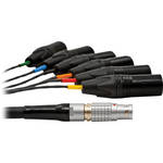 DPA Microphones DAO5150 Lemo multi-pin to 6 x XLR-M,  164' (50 m)